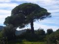 agriturismo sud sardegna